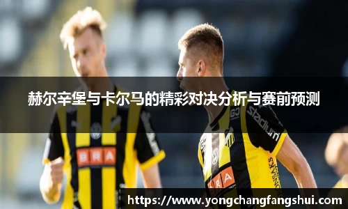 赫尔辛堡与卡尔马的精彩对决分析与赛前预测